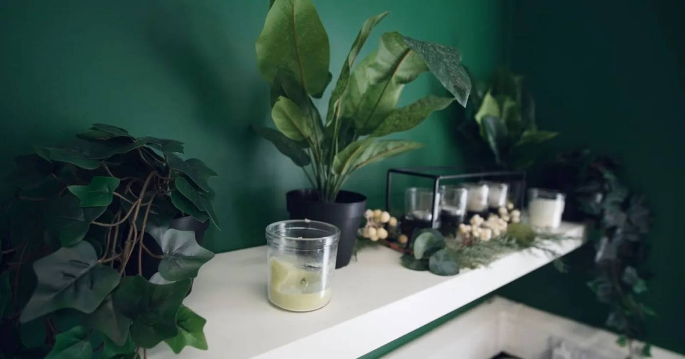 Nua Skin Studio
